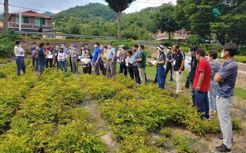 산기슭 임산물 재배지에서 교육생들이 자료를 손에 들고 재배 방법 설명을 듣고 있는 모습