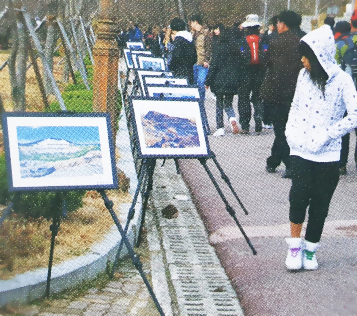산불예방 캠페인 활동 사진
