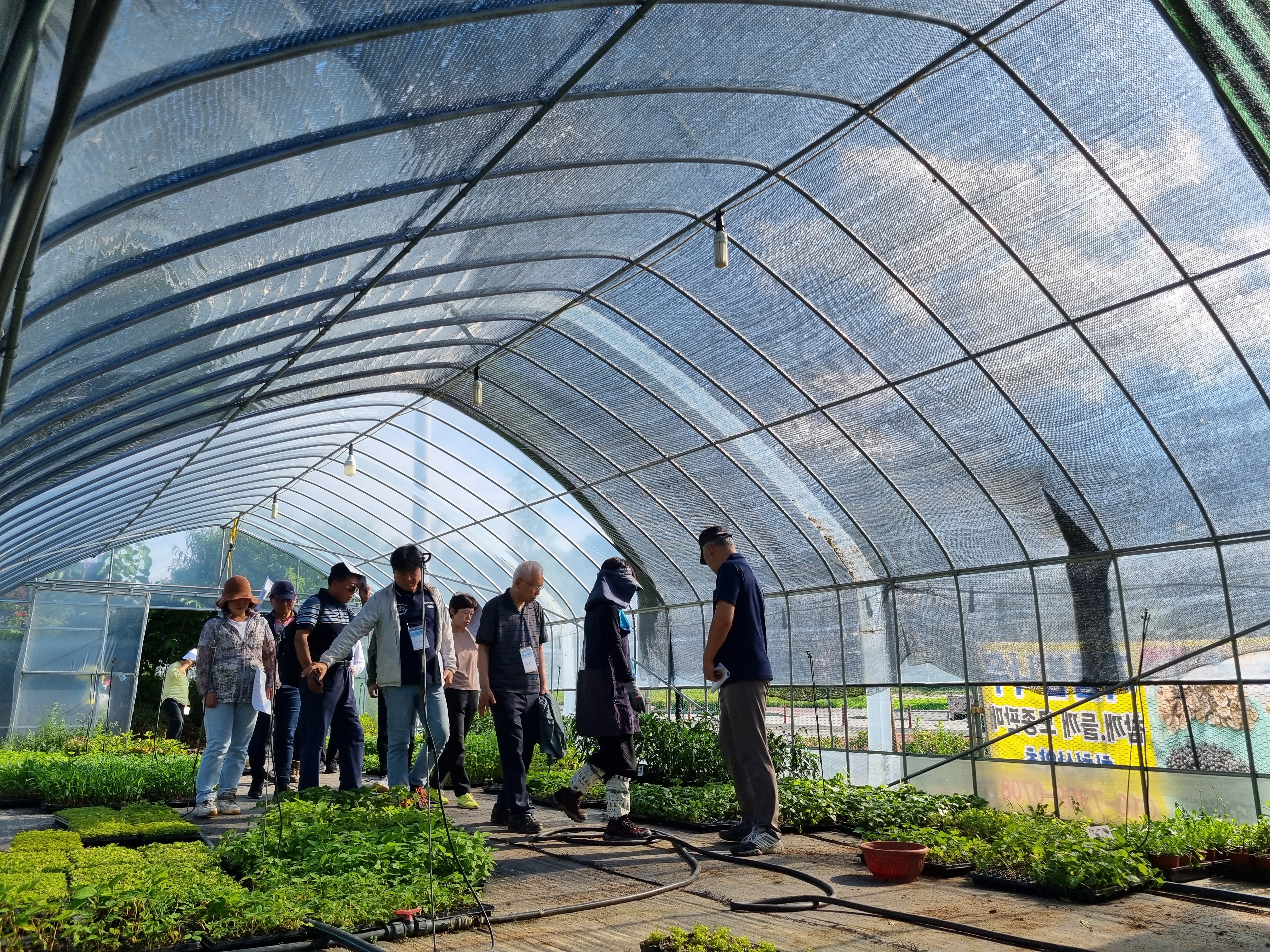비닐하우스 안 모종 재배장을 견학하는 수강생들